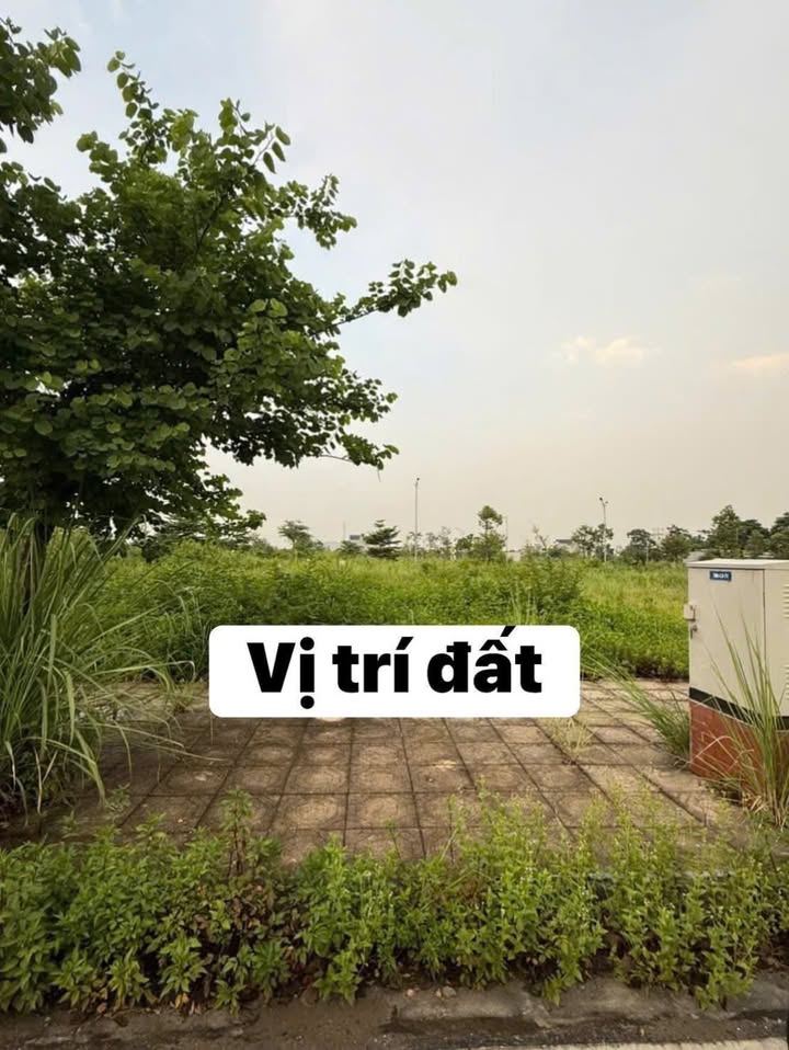 Đất nền Khu đô thị Đại Cương 90m² giá chỉ 3.6 tỷ - Hướng Nam, cơ hội đầu tư tuyệt vời!