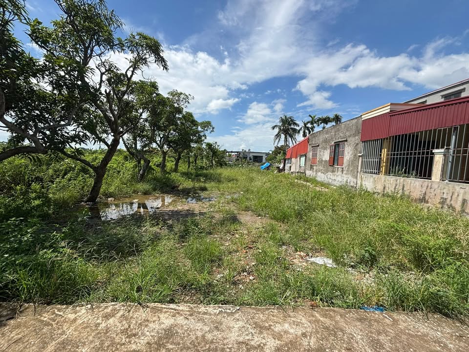 Lô đất đẹp tại Nam Đồ Sơn 436m² giá 4.36 tỷ - Phù hợp xây biệt thự, villa