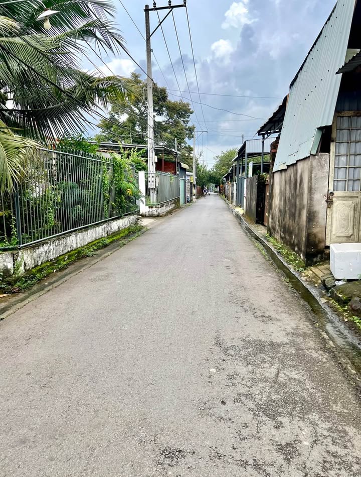 Đất thổ cư chính chủ tại Gia Kiệm, Đồng Nai 320m² giá 3.2 tỷ - Cơ hội đầu tư tuyệt vời!