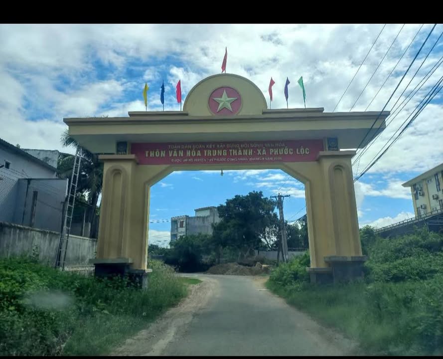 Đất thổ cư 100m² thôn Trung Thành, Tuy Phước - Giá chỉ 600 triệu!