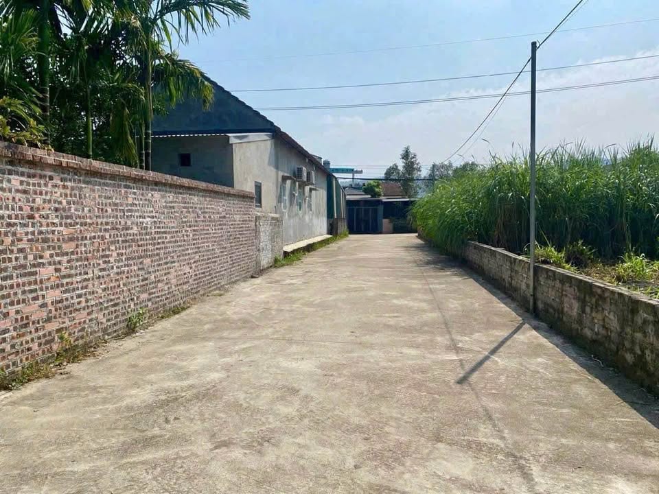 Đất thổ cư Vân Hòa, Ba Vì 1001m² – Đầu tư sinh lời cực cao!