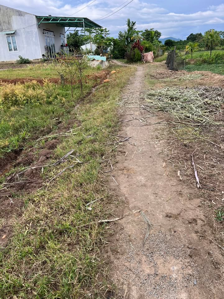 Đất nền 675m² tại Krông Nô, Lắk - Giá 23.625 tỷ, sổ đỏ chính chủ!