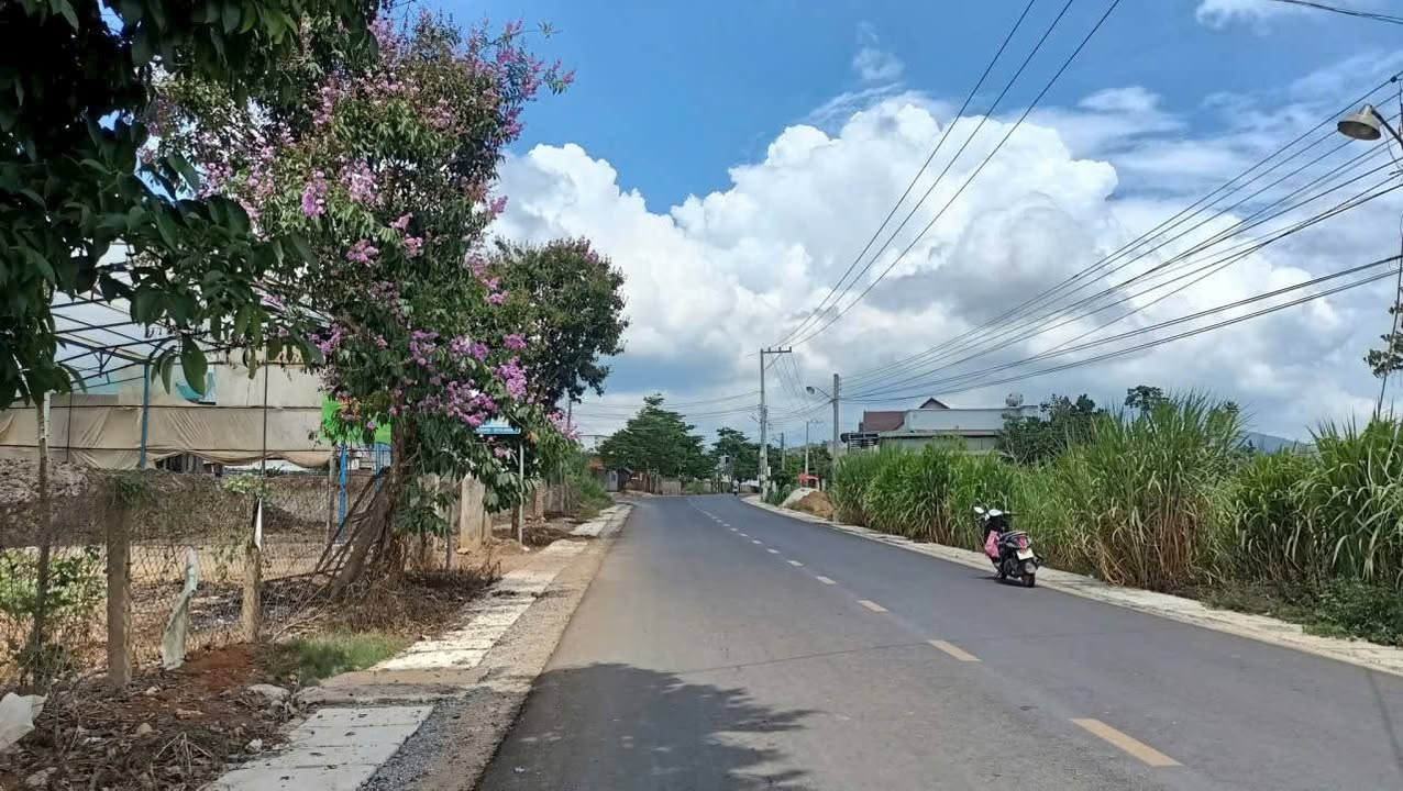 Đất nền xã Quảng Lập 268m² giá 1.6 tỷ - Kinh doanh thuận lợi!