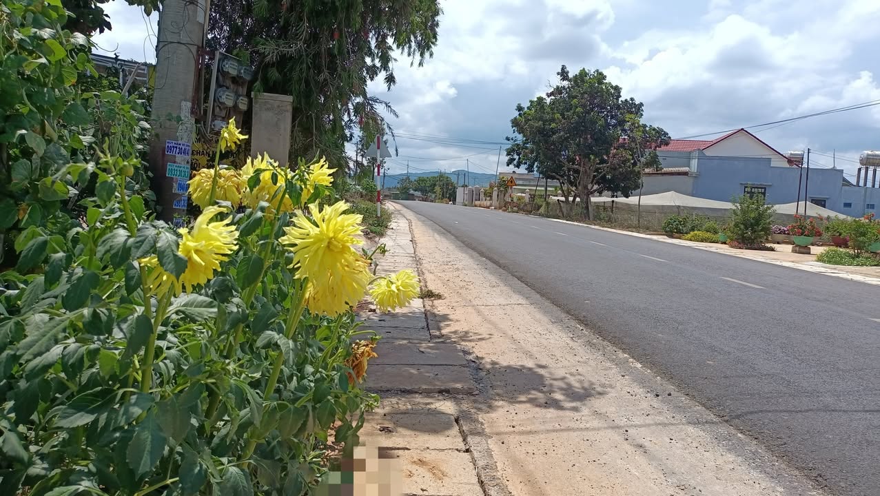 Đất nền xã Quảng Lập 1260m² giá 270 triệu - Đầu tư sinh lời ngay!