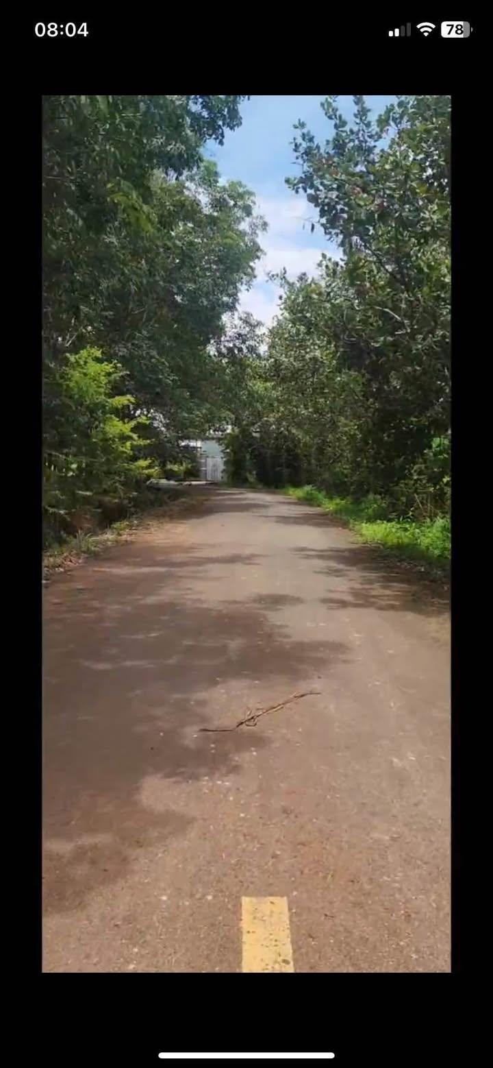 Đất nền Hòa Bình Xuyên Mộc 55.000m² giá thỏa thuận - Cơ hội đầu tư tuyệt vời!