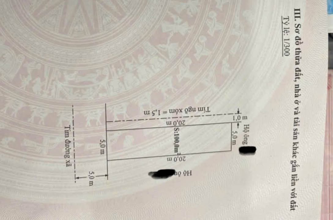 Đất nền Bạch Mai An Dương 100m² giá chỉ 3 tỷ - Lô góc tuyệt vời!