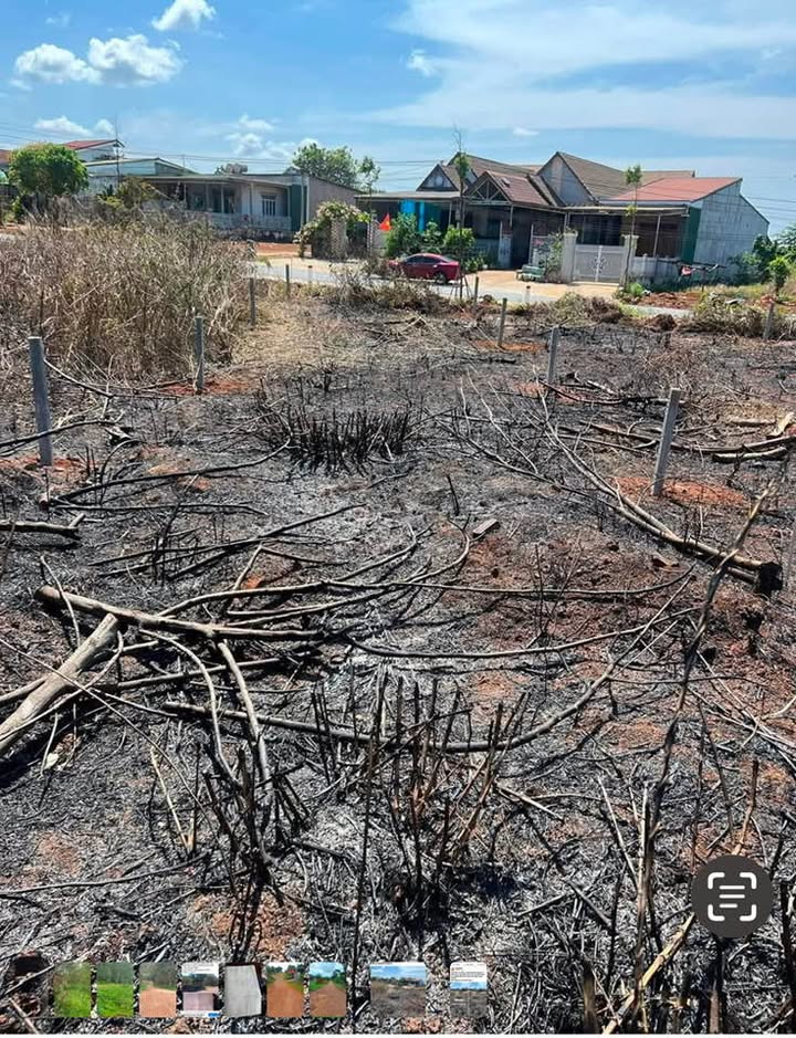 Đất nền Đắk R'Lấp 252m² giá 1.5 tỷ - Sổ đỏ chính chủ, nhanh tay sở hữu!