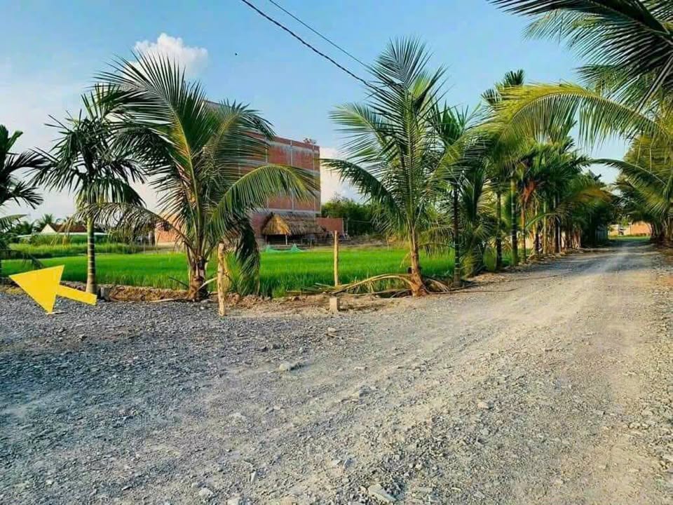 Đất thổ cư 125m² tại Hựu Thạnh, giá chỉ 750 triệu - Cơ hội đầu tư tuyệt vời!