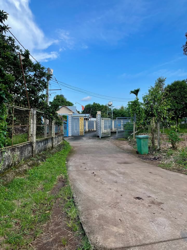 Đất nền thổ cư Khu phố 1, Bình Lộc 100m² giá 880 triệu - Sổ đỏ chính chủ!