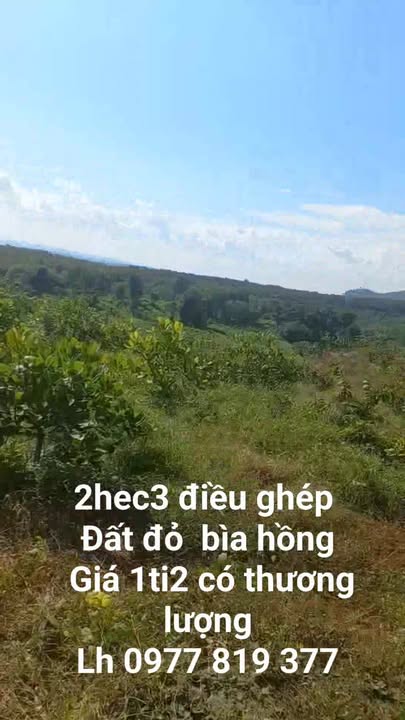 Đất nông nghiệp 20.000m² xã Ia Dom, Đức Cơ, Gia Lai - Giá 1.2 tỷ có thương lượng!