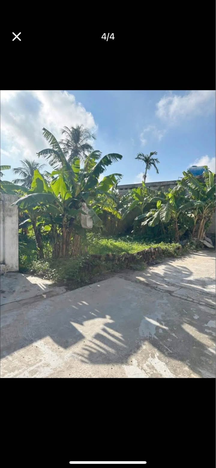 Đất nền Quỳnh Thọ 184m² giá 700 triệu - Cơ hội đầu tư tuyệt vời!