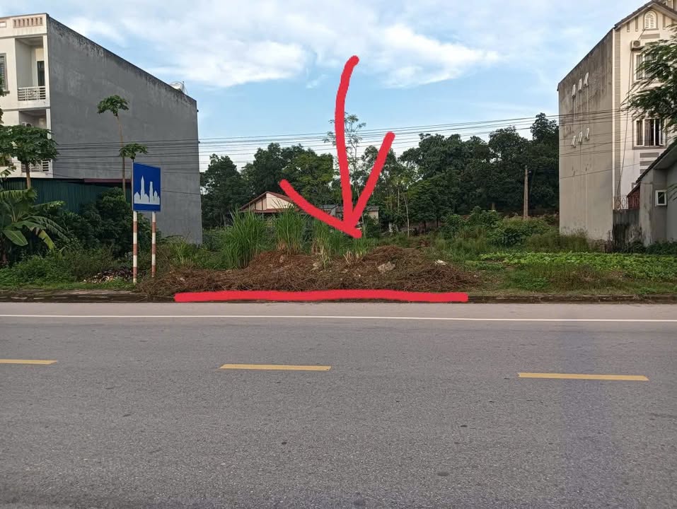 Đất nền Quốc lộ 17, Tân Yên 100m² giá 2.5 tỷ - Cơ hội đầu tư tuyệt vời!