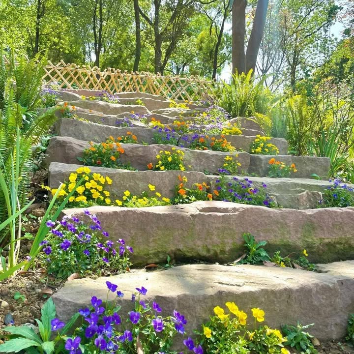 Đất thổ cư Bảo Vinh, Long Khánh 528m² giá 3.19 tỷ - Đầu tư sinh lời ngay!