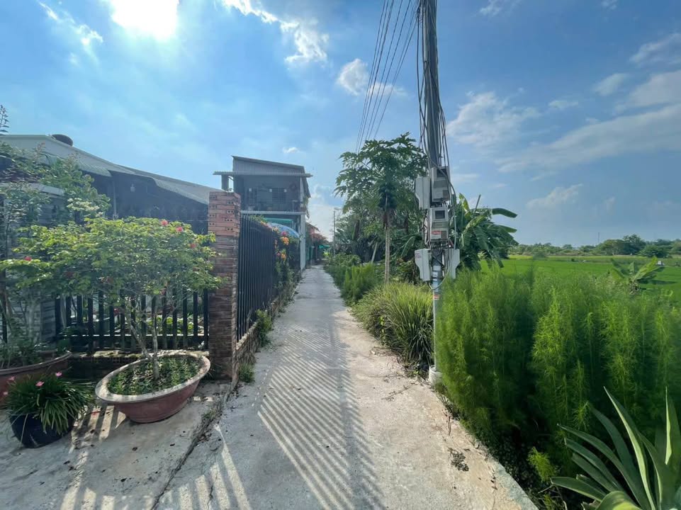 Đất nền 206,3m² phường Mỹ Thới, giá 300 triệu - Sổ đỏ chính chủ!