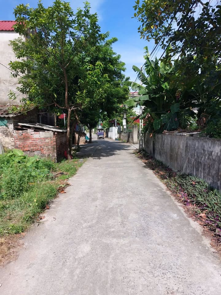 Đất thổ cư Yên Phong, Ý Yên, Nam Định 142m² - Đường ô tô vào tận nơi!