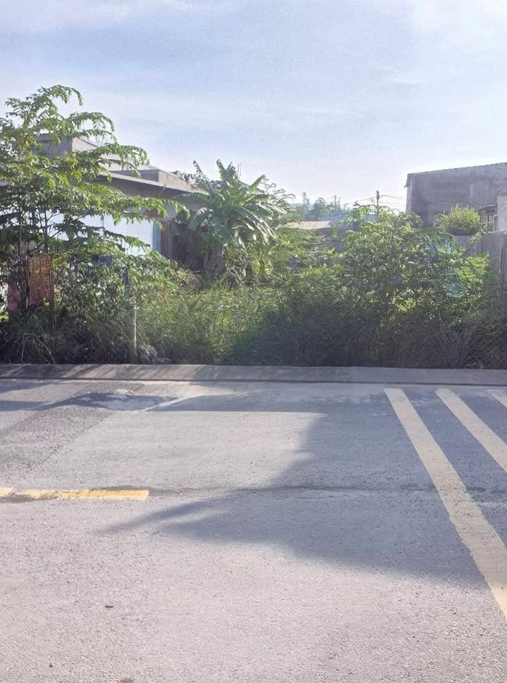 Đất mặt tiền 484m² thổ cư An Phú Đông Q12 - Đầu tư tiềm năng!