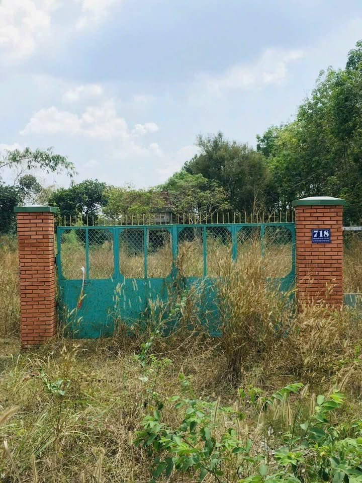 Đất nền Phú Hòa Đông, Củ Chi 9539m² giá 33 tỷ - Đầu tư sinh lời tiềm năng!