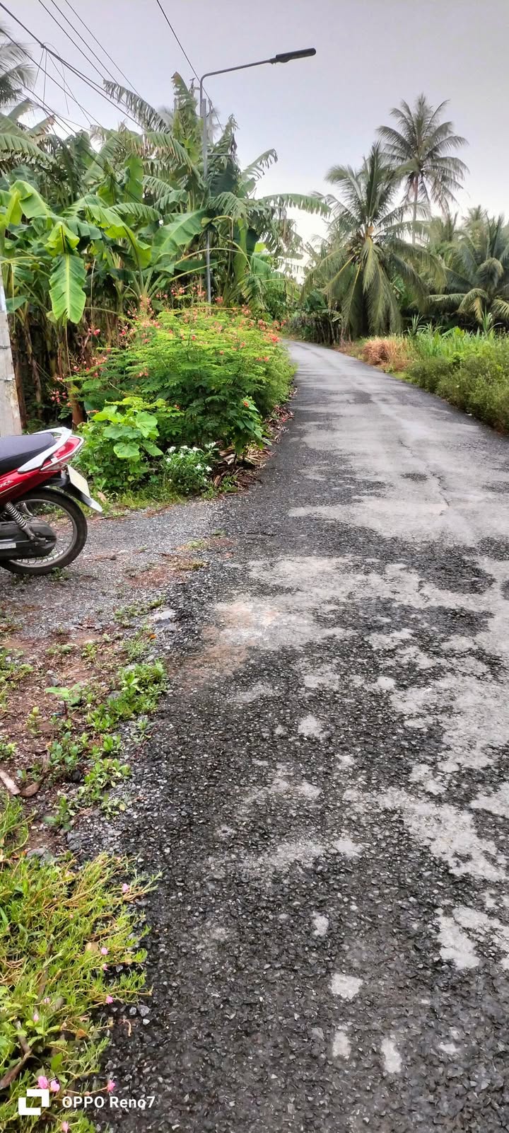 Đất mặt tiền ấp An Cư, Tân Hòa, Tiểu Cần, Trà Vinh 1120m² - Giá chỉ 500 triệu!