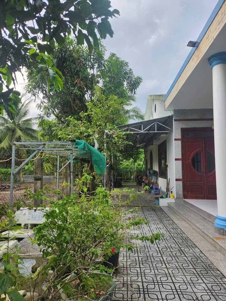 Nhà và đất mặt tiền Lộ Giồng Trâm Bến Tre 594m² giá 4 tỷ - Cơ hội đầu tư tuyệt vời!