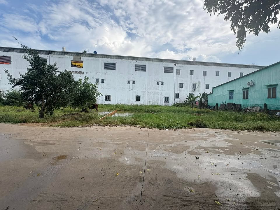 Đất thổ cư 80m² tại ấp 7A, xã Mỹ Yên, giá chỉ 1,25 tỷ - Cơ hội đầu tư tuyệt vời!