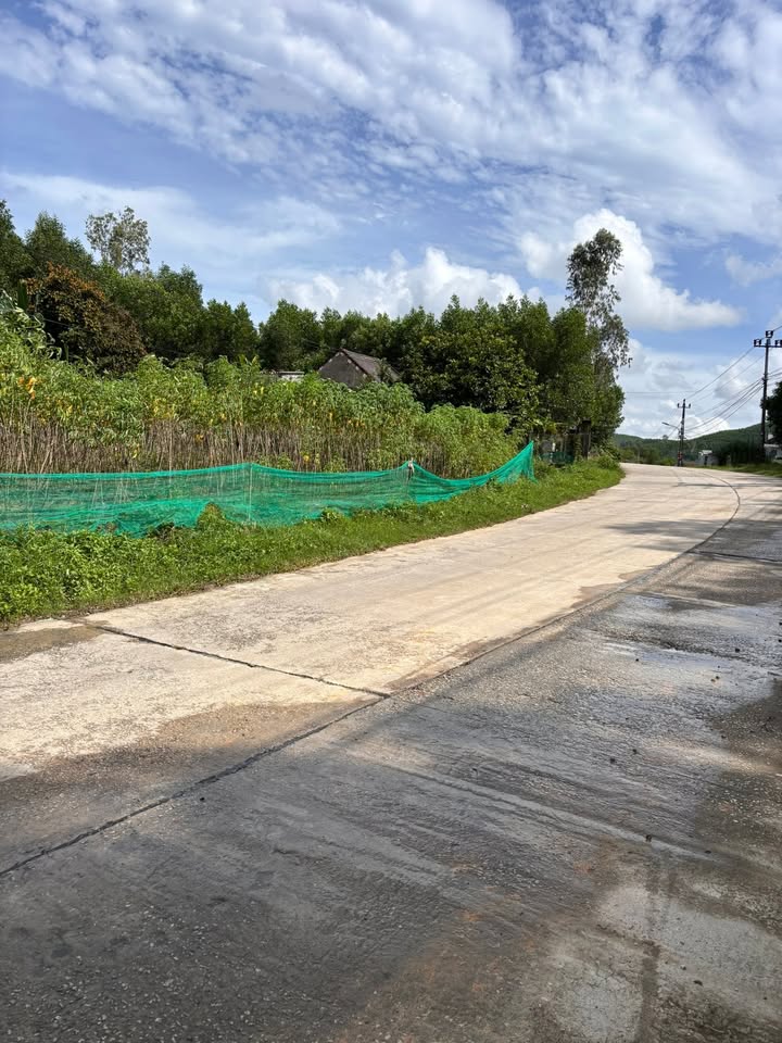 Đất nền mặt tiền DH Quế Thuận, Điện Bàn 135m² chỉ 300 triệu - Cơ hội đầu tư tuyệt vời!