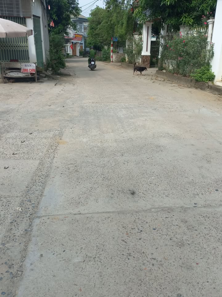 Đất nền kinh doanh phường Thống Nhất 95m² - Vị trí đắc địa gần chợ và trường học!