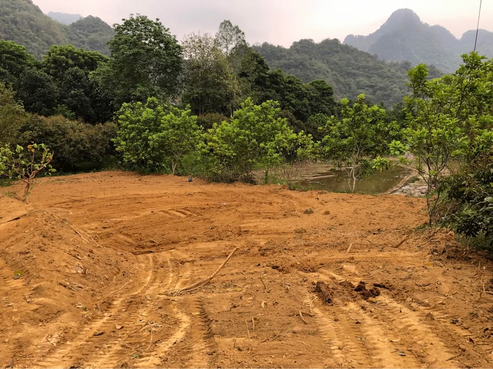 Đất trồng cây lâu năm tại xã Xuân Thủy, Kim Bôi 8800m² giá 3.52 tỷ - Đầu tư sinh lời lý tưởng!