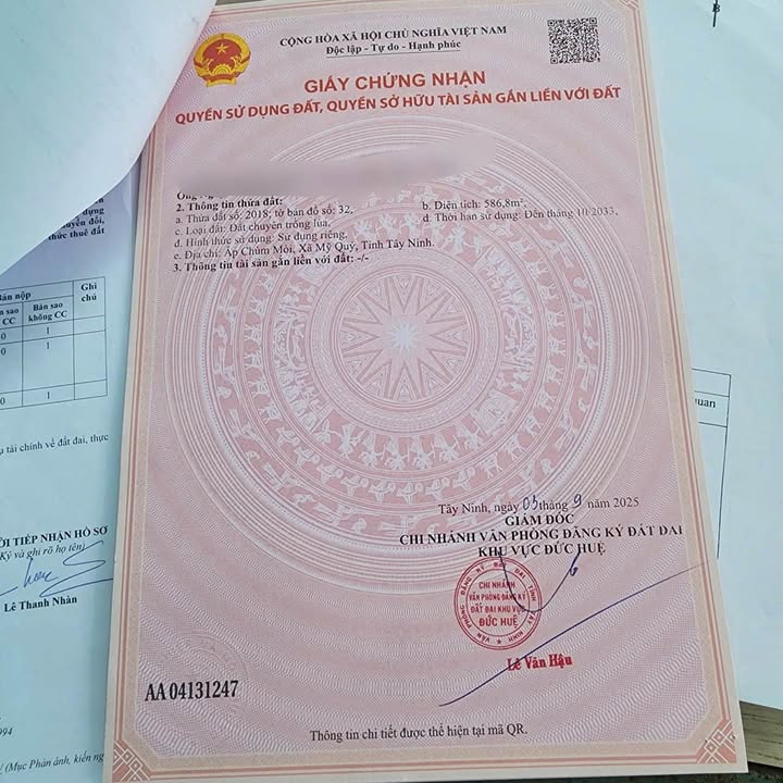 Đất ở và đất lúa tại Mỹ Quý, Đức Huệ - Giá chỉ từ 550 triệu