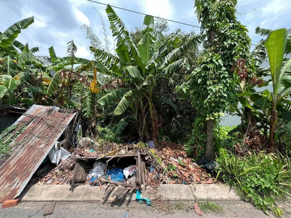 Đất nền đường số 9 Lấp Vò 100m² giá 1.15 tỷ - Tiềm năng đầu tư tuyệt vời!