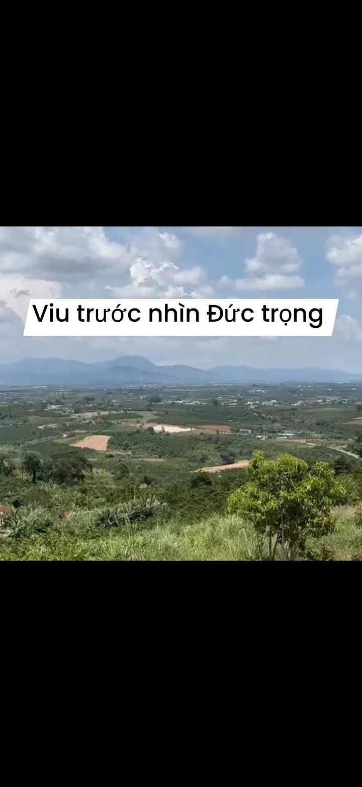 Đất nền 1 sào Tân Hà, Lâm Hà 580 triệu - Mặt tiền 15m, vuông vức