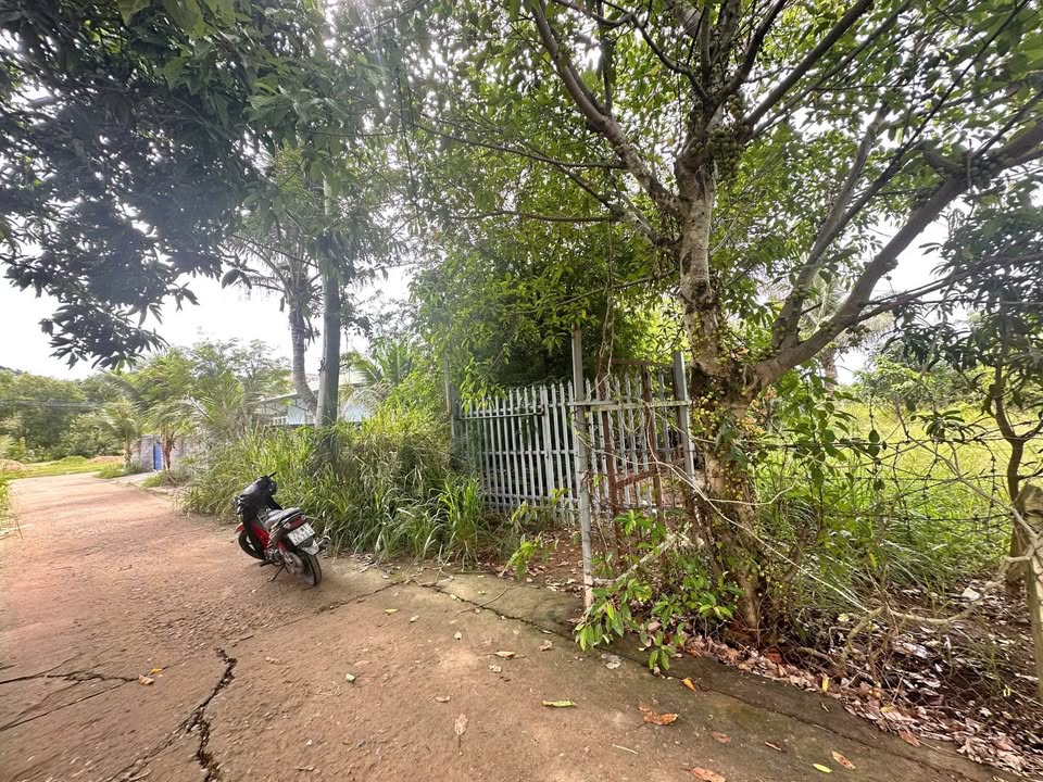 Đất thổ cư đẹp 409m² và 315m² tại thôn Đắc Lộc 1, Nha Trang - Giá tốt, cơ hội đầu tư hấp dẫn!