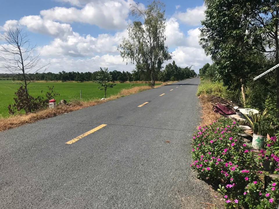 Đất nền mặt đường ĐT 850, xã Mỹ Long, diện tích 9 công - Giao thông thuận lợi gần Khu di tích Xẻo Quýt!