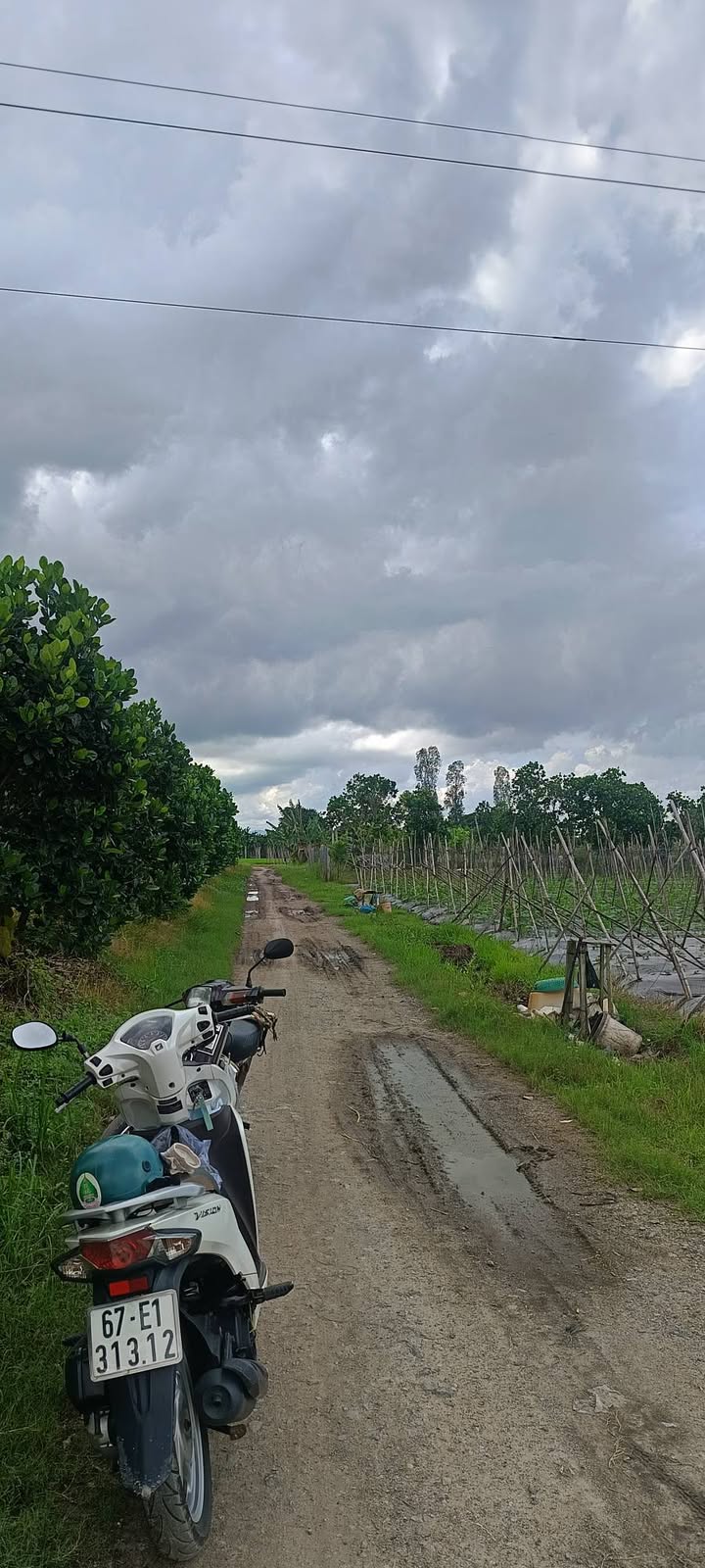 Đất nền 4.500m² mặt tiền đường Dân Y, Mỹ Đức, Châu Phú - Đầu tư sinh lời ngay!