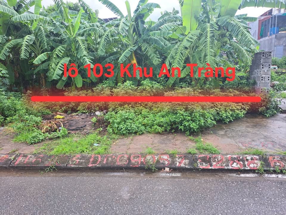 Đất nền 100m² Khu Đô Thị Ngã 3 An Tràng giá 2 tỷ - Cơ hội đầu tư hấp dẫn!