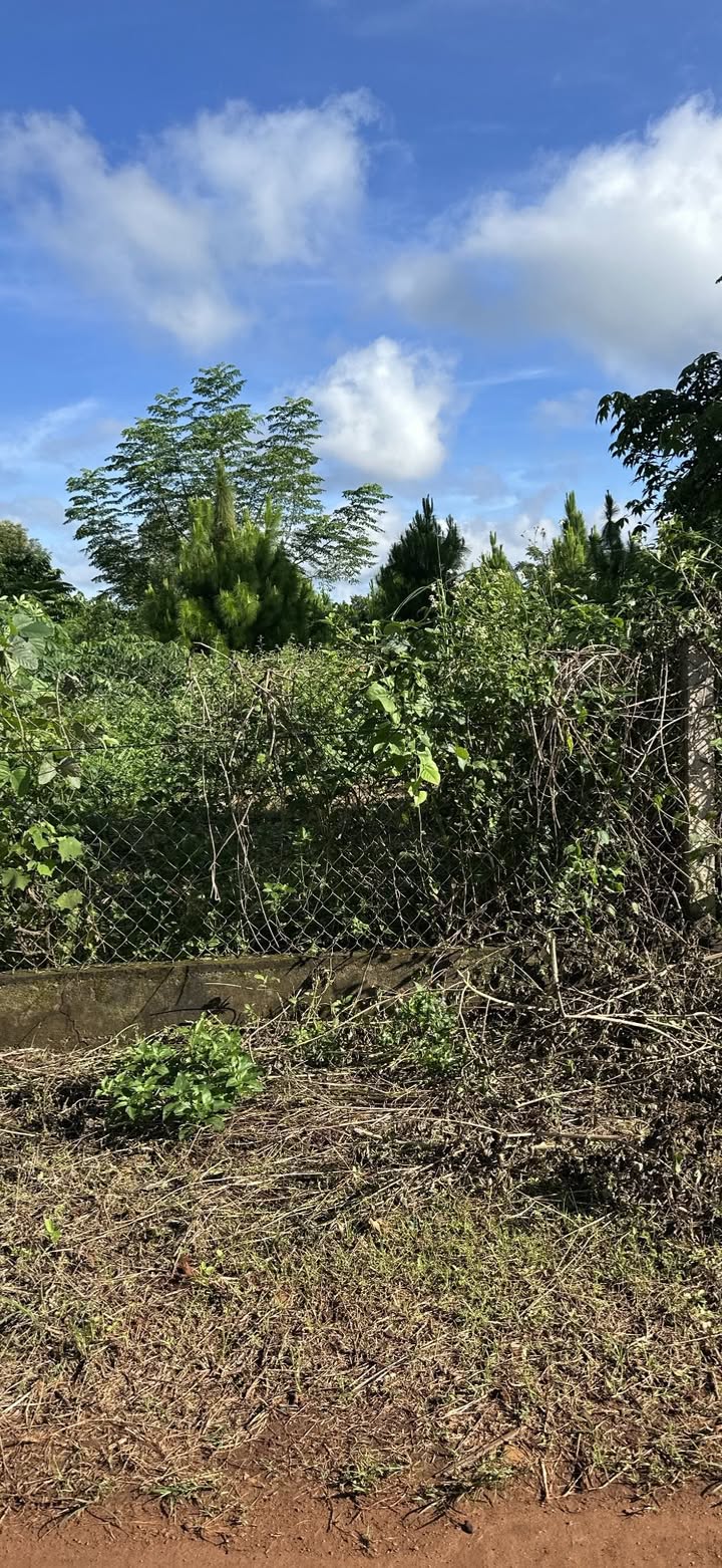 Đất nền Đak Đoa 1280m² giá chỉ 400 triệu - Đầu tư ngay để sinh lời!