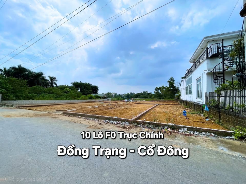 Đất nền thổ cư Cổ Đông 100m² giá 3 tỷ - Cơ hội đầu tư tuyệt vời!