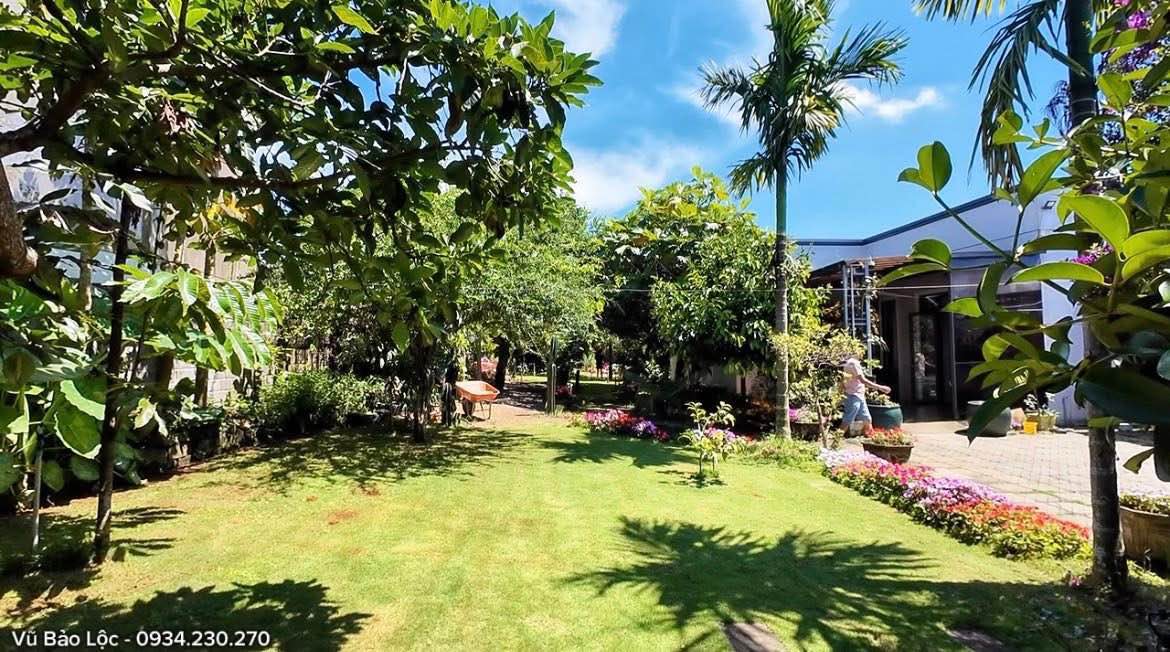 Nhà vườn Bảo Lộc 1000m² giá 8.6 tỷ - Đường ô tô, không gian thoáng đãng!