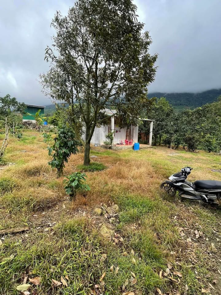 Đất vườn Lộc Nam Bảo Lâm 17.000m² giá 21 tỷ - Cơ hội đầu tư sinh lời!