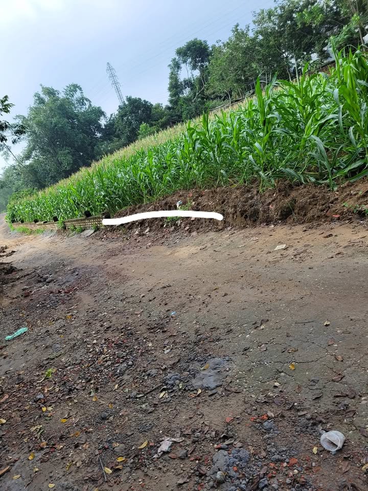 Đất nền Khu 12 Kim Đức, Việt Trì 72m² giá 900 triệu - Đường rộng ô tô ra vào thoải mái!