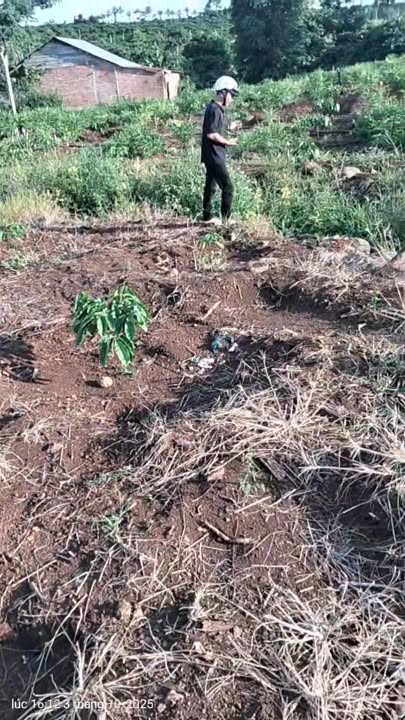 Đất vườn Đắk R'La 1ha giá 1.4 tỷ - Đầy đủ tiện nghi, thích hợp đầu tư