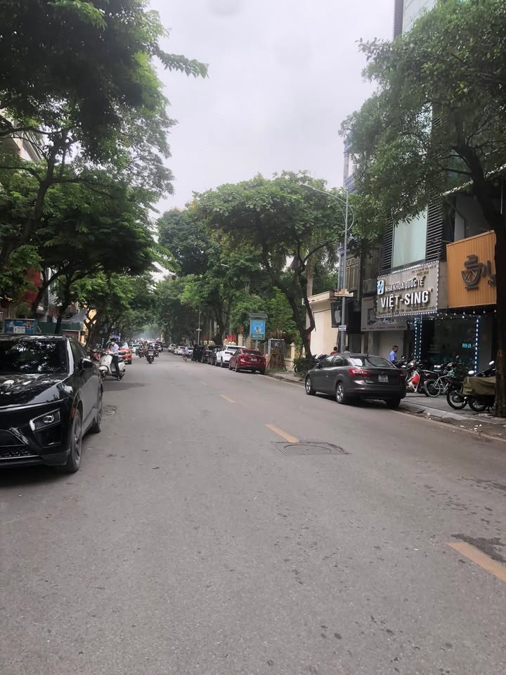 Bán nhà mặt phố Đàm Quang Trung, Long Biên 50m² giá 36 tỷ - Kinh doanh sầm uất!