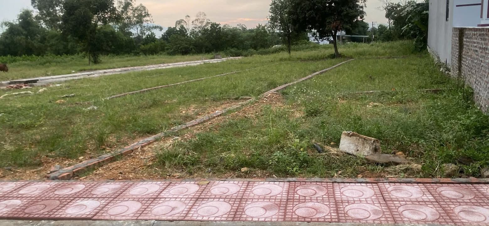 Đất nền Cẩm Lĩnh, Ba Vì 161m² - Tiềm năng đầu tư lớn!