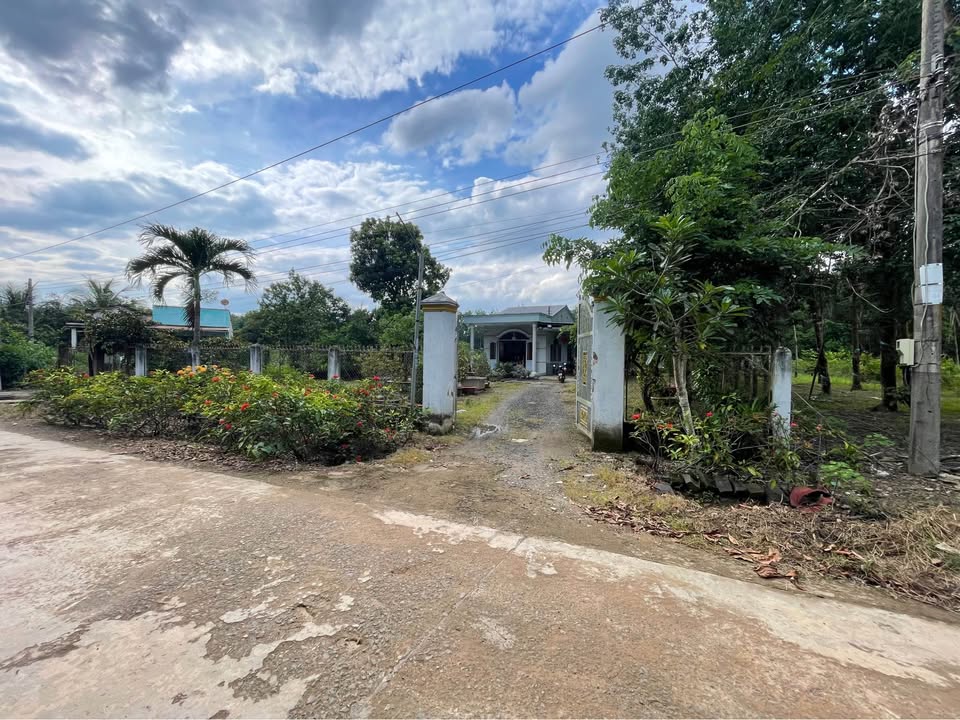 Nhà vườn Đồng Tâm, Đồng Phú 1904m² giá 1.7 tỷ - Không thể bỏ qua!