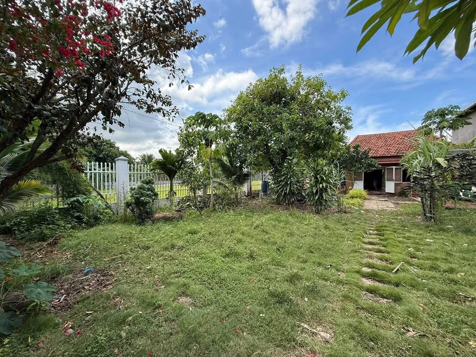 Đất vườn Diên An 700m² giá 5.8 tỷ - Hướng Nam, ô tô vào tận nơi!