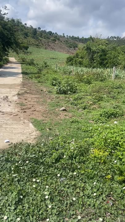 Lô đất vàng 200m² tại xã Yang Trung, huyện Kông Chro - Giá chỉ 480 triệu!