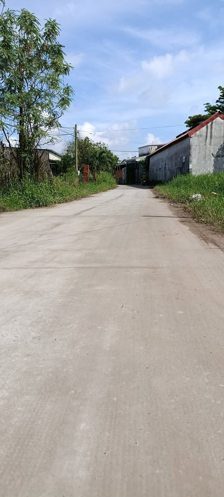 Nhà bán ấp Bình Hữu 1, Đức Hòa 220m² giá 1.75 tỷ - Chính chủ cần bán gấp!