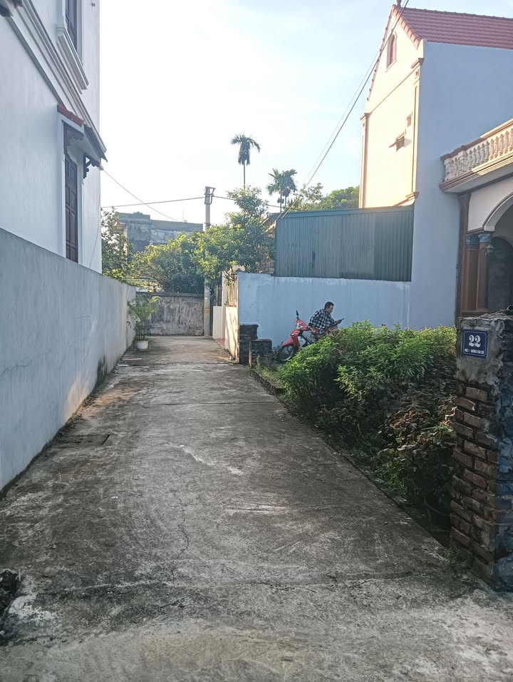 Đất nền Tự Nhiên, Thường Tín 42,3m² giá 1.69 tỷ - Đầu tư sinh lời hấp dẫn!