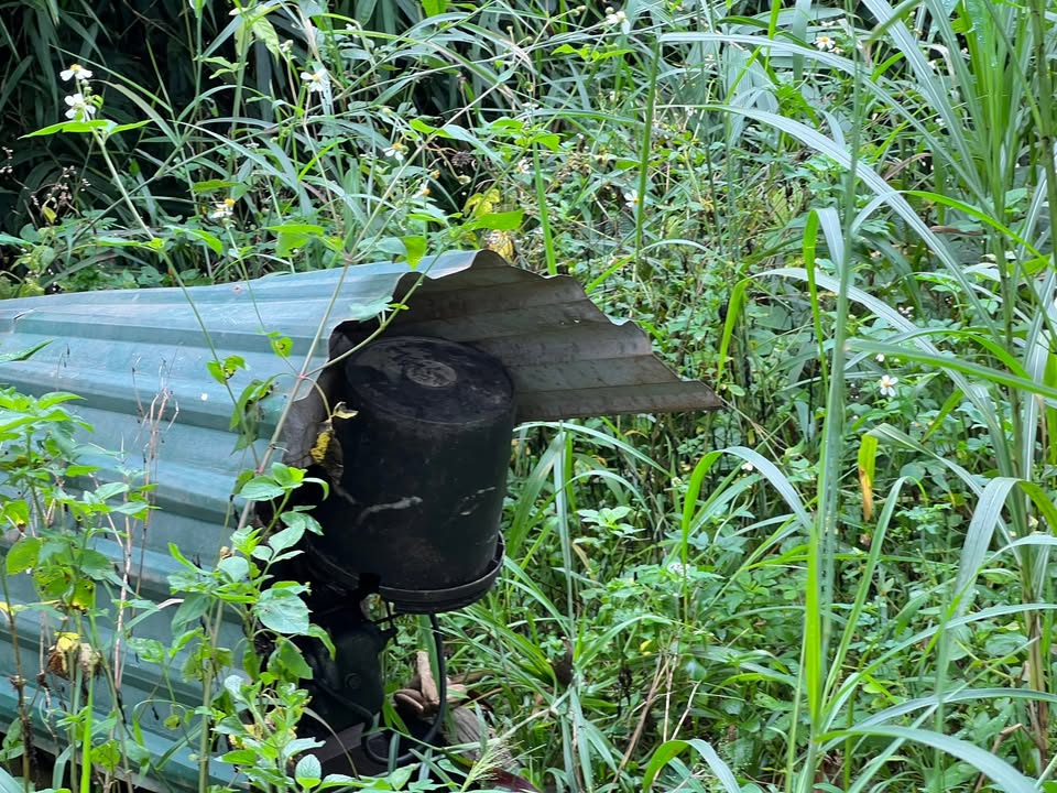 Rẫy 6 sào xã Trường Xuân Đắk Song giá 1.1 tỷ - Đầu tư sinh lời hấp dẫn!