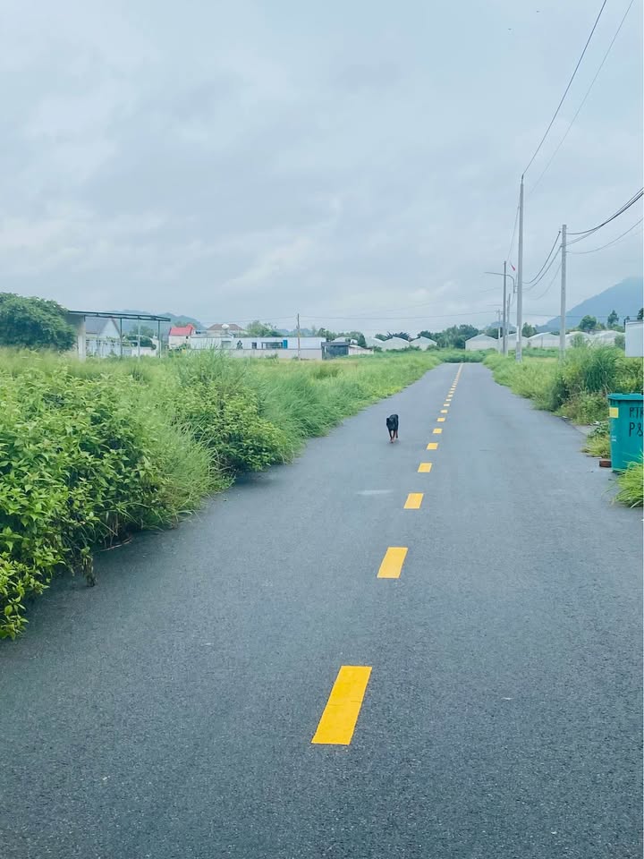 Đất thổ cư đường Bùi Công Trừng 257m² giá 2.5 tỷ - Tiện ích đầy đủ xung quanh!