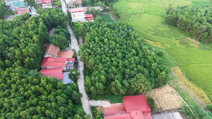 Đất thổ cư Tam Tiến, Yên Thế 160m² chỉ từ 100 triệu - Cơ hội đầu tư hấp dẫn!